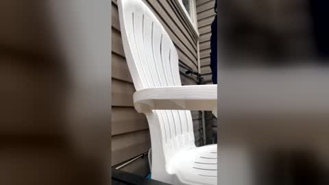 pyrex8 online show from 01-13-26, 03:17