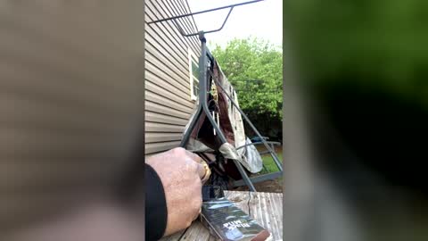 pyrex8 online show from 04-05-26, 11:24