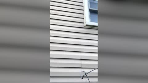 pyrex8 online show from 04-11-26, 11:36