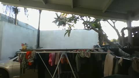 Snapshot of python974 chatting on 10-09-25, 02:42 Python online show from 10-09-25, 02:42