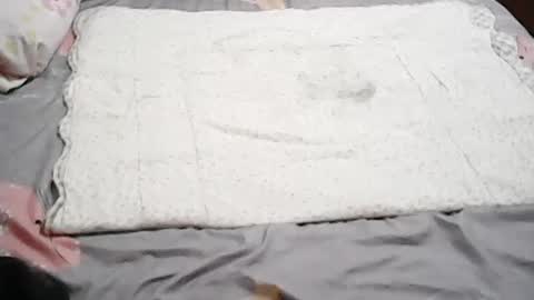 queen_ava05 online show from 07-01-26, 12:18