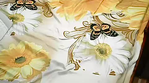 queen_ava05 online show from 07-02-26, 07:20