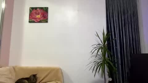 Snapshot of queen_chatur chatting on 01-28-25, 12:32 Viktoria online show from 01-28-25, 12:32