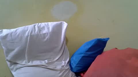 Gentrix online show from 02-23-26, 11:51