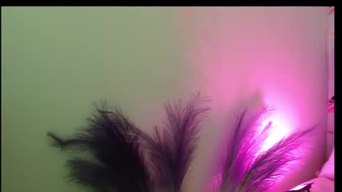 Queen Rosee  online show from 02-25-26, 08:07