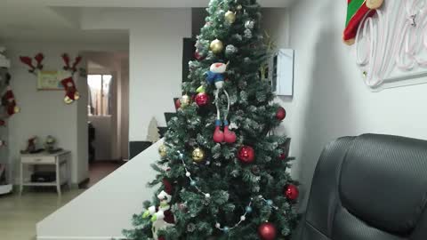 Snapshot of queen_zafiro88 chatting on 11-17-25, 12:33 Zafiro ILL BROADCAST UNTIL DECEMBER Onlyfans online show from 11-17-25, 12:33