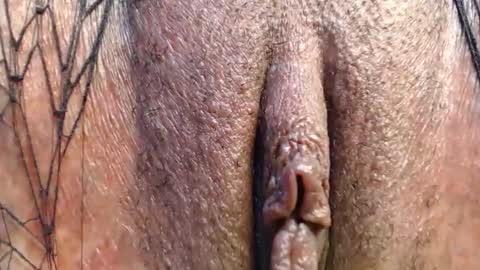 Quickie online show from 04-29-26, 09:32