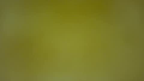 quinnxx online show from 02-08-26, 05:33