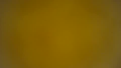 Snapshot of quinnxx chatting on 03-24-26, 08:19 quinnxx online show from 03-24-26, 08:19