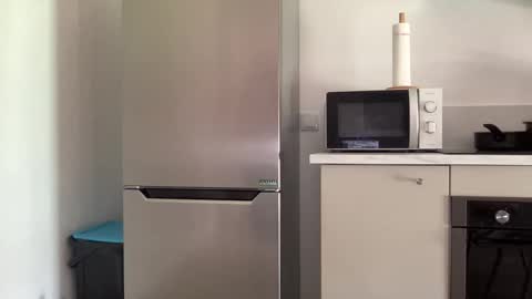 Quinnyelena online show from 04-25-26, 12:08