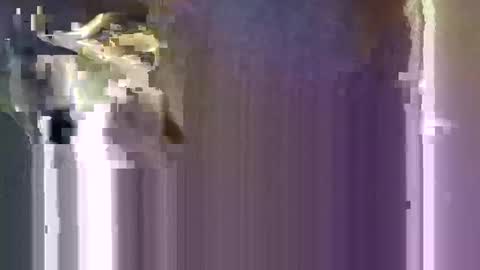 r04233054 online show from 01-10-26, 08:16