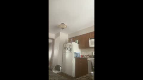 rabbi_poolnoodle online show from 01-16-26, 07:51