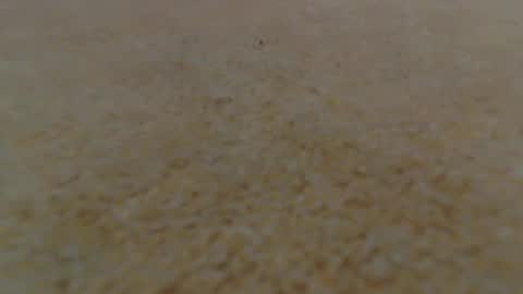 Snapshot of racefliege chatting on 01-14-25, 06:02 racefliege online show from 01-14-25, 06:02