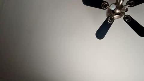 randallcody15 online show from 01-06-25, 09:11