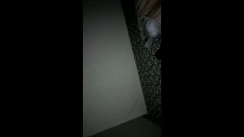 randallcody15 online show from 10-06-25, 11:24