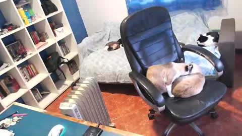 ravingr3d3 online show from 01-11-26, 03:28