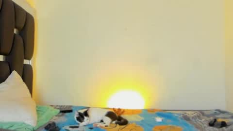 Rayn online show from 11-05-25, 04:40