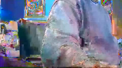 rb69er905364 online show from 12-28-24, 04:52