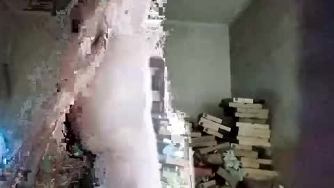 rdcervetto81 online show from 02-11-26, 08:08