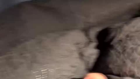 rebornbutbored online show from 11-15-25, 11:40