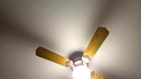 red24devils online show from 02-18-26, 12:50