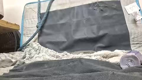 Snapshot of rednicedick chatting on 10-16-25, 01:17 rednicedick online show from 10-16-25, 01:17