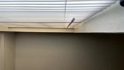 redsoilclay online show from 09-27-25, 10:48