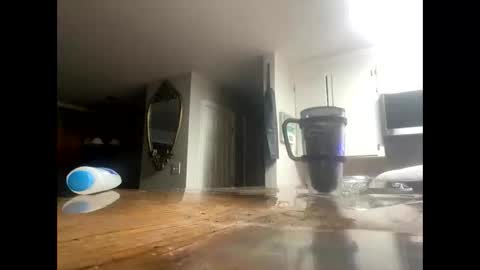 Snapshot of reeferleefer chatting on 10-15-25, 03:39 Lee online show from 10-15-25, 03:39