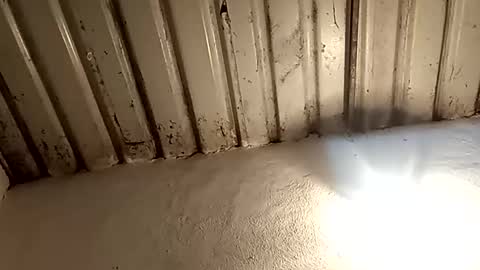 reinft online show from 02-11-26, 02:16