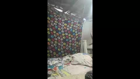Snapshot of requenaelizabeth42 chatting on 05-22-26, 10:43 requenaelizabeth42 online show from 05-22-26, 10:43