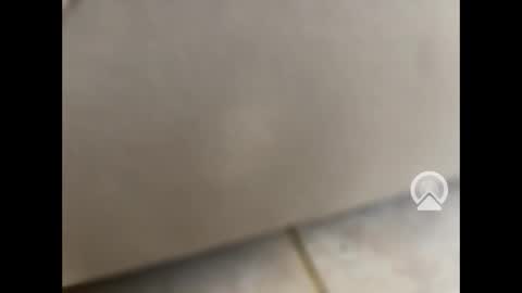 Snapshot of rgoggler2 chatting on 01-28-25, 01:59 rgoggler2 online show from 01-28-25, 01:59