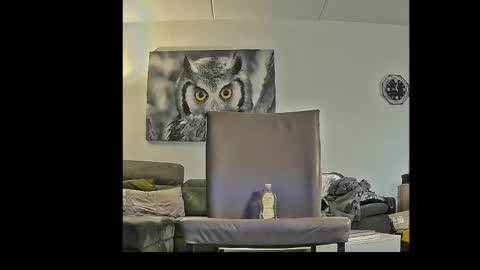 richard__076__ online show from 04-03-26, 07:01