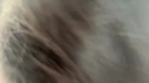 Snapshot of rickistegemann chatting on 02-27-26, 02:22 Ammy here its my first stream here online show from 02-27-26, 02:22