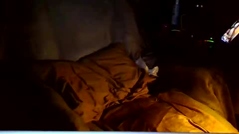 PINK HOLE TWINK online show from 03-06-26, 04:53