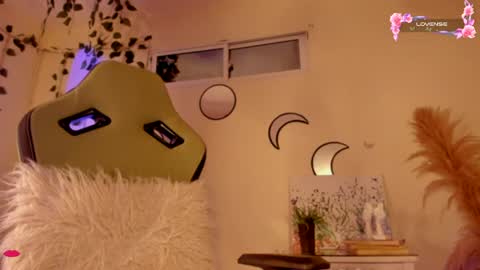 Snapshot of riiley_ chatting on 12-17-24, 09:07 Independent model online show from 12-17-24, 09:07