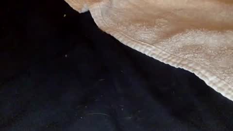 rimalova online show from 12-20-25, 01:45