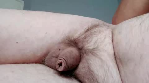 ripa35 online show from 02-17-25, 11:53