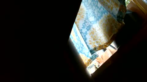 riskyjizznessss online show from 12-31-24, 04:46