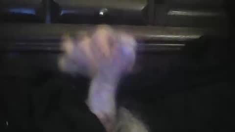 rlpl online show from 02-23-26, 06:05