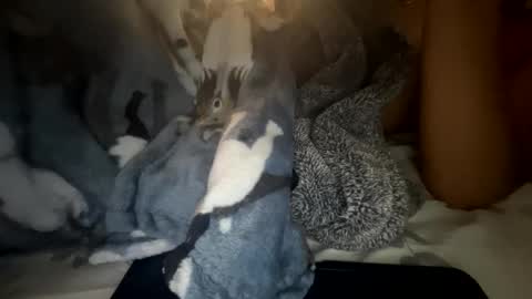 roarmance1 online show from 10-30-25, 05:35