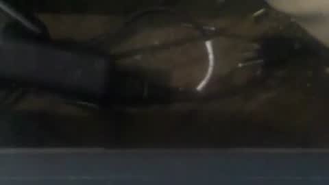 R online show from 12-20-24, 03:36