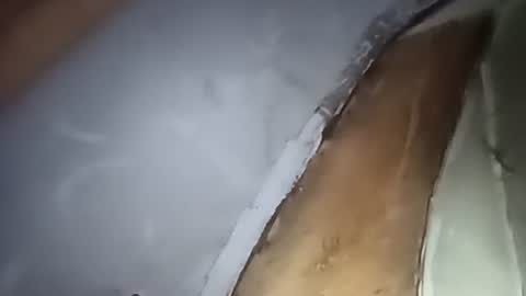 R online show from 10-01-25, 04:29