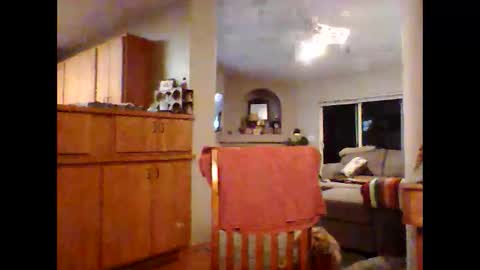 robo0000 online show from 11-20-25, 01:06