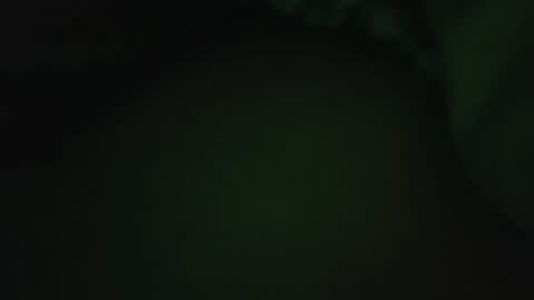 Snapshot of rocce4147 chatting on 08-07-26, 04:58 rocce4147 online show from 08-07-26, 04:58