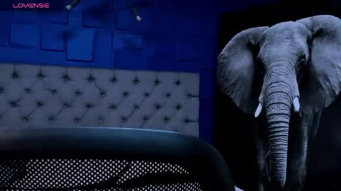 Snapshot of rocco_santos chatting on 09-14-25, 02:00 rocco_santos online show from 09-14-25, 02:00