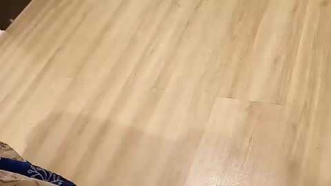 Snapshot of rockikoki chatting on 03-16-26, 04:33 rockikoki online show from 03-16-26, 04:33