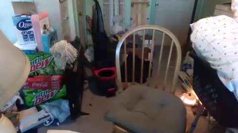 Snapshot of rocky082288 chatting on 01-09-25, 01:24 rocky082288 online show from 01-09-25, 01:24