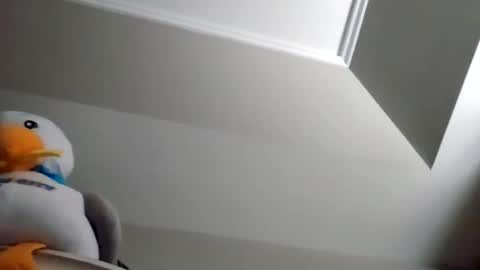 Snapshot of rodbuilttough79 chatting on 11-08-25, 02:28 rodbuilttough79 online show from 11-08-25, 02:28