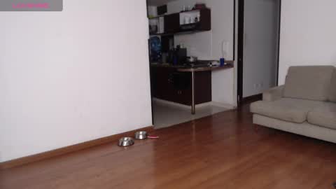 Rogger online show from 02-21-25, 03:12