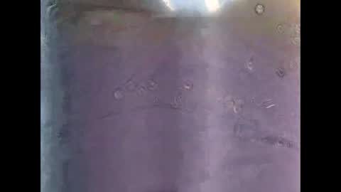 Snapshot of rollino83 chatting on 09-29-25, 10:42 rollino83 online show from 09-29-25, 10:42
